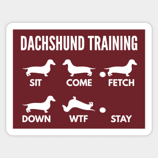 Dachshund Training Wiener Tricks Sticker